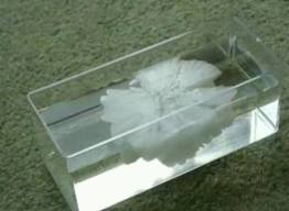 Sodium Acetate Anhydrous