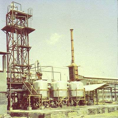 Vegetable Oil Refining Plant