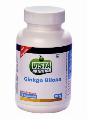 Vista Nutritions Ginkgo Biloba 120mg (120 Capsules)