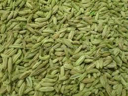 Fennel Seed Oil