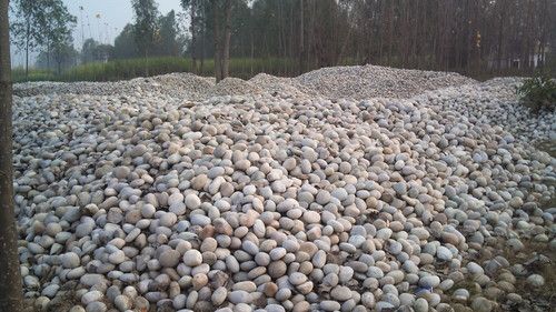 River Pebbles Natural