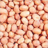 Groundnut Without Shell