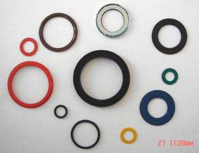 EPDM Oil Seal