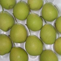 Shandong Pears