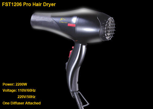 Professional Hair Dryer (Fst1206)