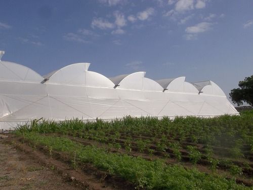 Greenhouse Cold Frame