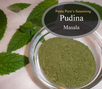 High Quality Pudina Masala Seasoning