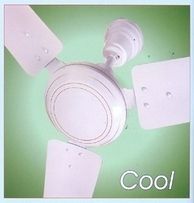 Ruby White Ceiling Fans