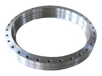 Nickel Alloy Steel Flange (Ns312)