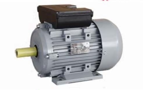 Single Phase Motor ML Series