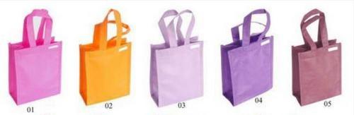 Shopping Non Woven Bags