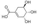 Kava-Kava Extract 70%