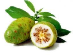 Morinda Citrifolia Juice