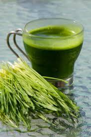 Wheat Grass Powder (Organic)