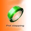 Pet Strapping