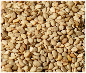 Natural White Sesame Seed