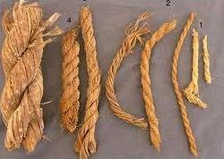 Kasturi Ropes