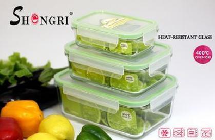 Glass Food Storage Cube