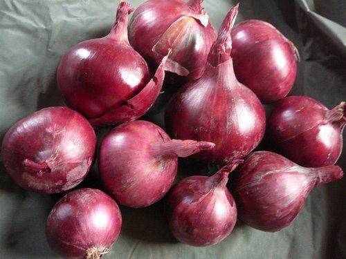 onions