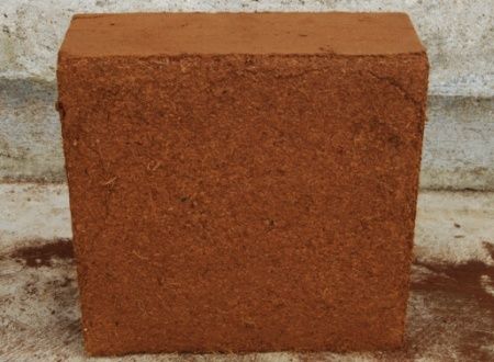Extra Washed Coir Peat 5 Kg Blocks