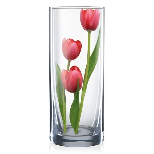 glass flower vases