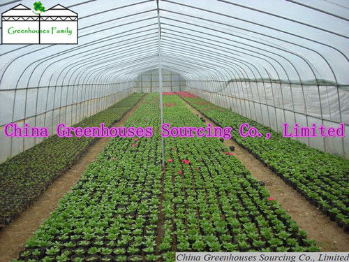 Polytunnel Greenhouses for Sale