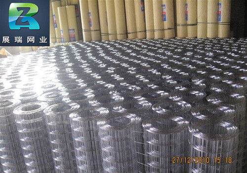 Stainless Steel /Galvanized Welded Wire Mesh