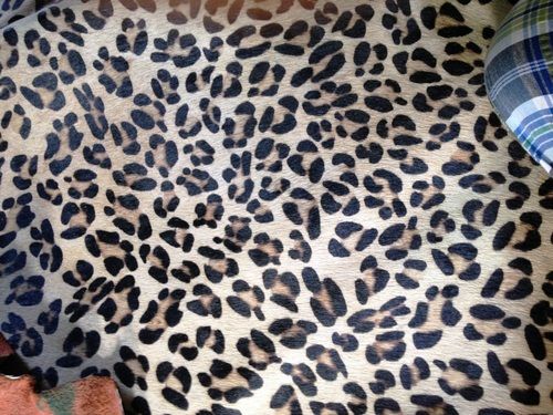 Leopard Print Hair On Leather at Rs 115/sq ft, Leopard Hair On Leather in  Kanpur