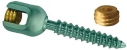 Poly Axial Screw Titanium