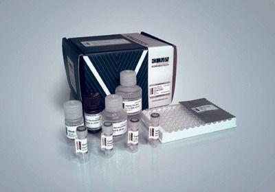 Immunoglobulin ELISA Kit