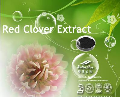 Red Clover Extract 20% Isoflavones By Hunan NutraMax Inc.