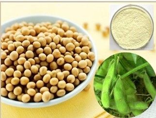 Soybean Extract Isoflavones