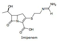 Imipenem And Cilastatin For Injection (Sterile Bulk)