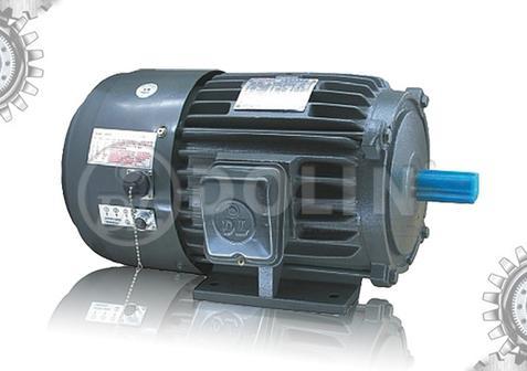 AC Three Phase Inverter Duty Induction Motor (AEEF-VF Series)