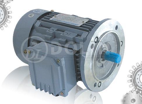 Aluminum 3 Phase Induction Motor (MSB5 Series)