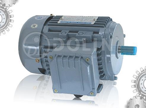 Aluminum Three Phase AC Induction Motor (MSB3 Series)