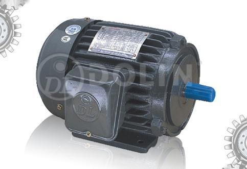 Three Phase AC Induction Motor (AEEF Series)