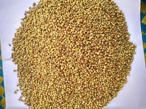 100% Natural and Pure Coriander Seeds, No Artificial Colours and Preservatives