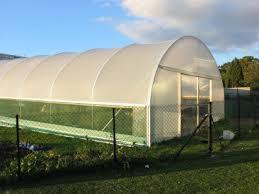 Poly Tunnel 