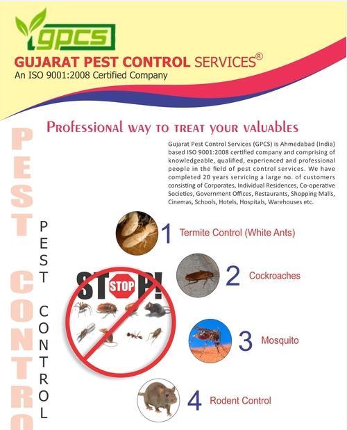 Anti Termite Treatment Service By Gujarat Pest Control Services