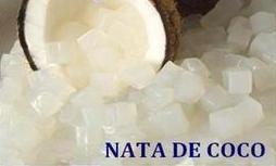 Coconut Jelly NATA DE COCO