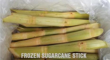 Fresh Frozen Sugarcane