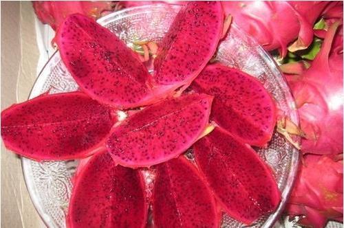 Red Flesh Dragon Fruit