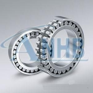 Cylindrical Roller Bearing (NU1008 40*68*15)