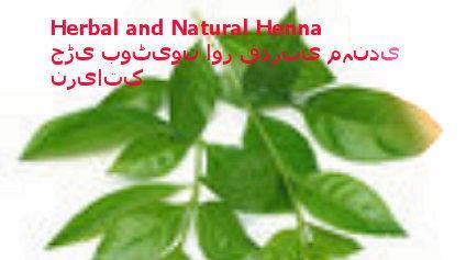 Herbal Henna For Hair and Skin