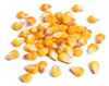 Yellow Corn (Maize)