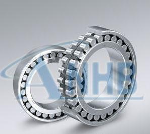 NU1008 Bearing