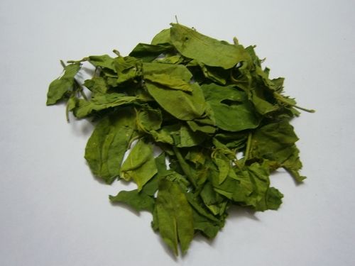 Gymnema Leaves - Superior Grade Herbal Quality | Widely Appreciated by Customers Nationwide