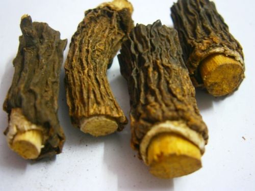 Sarsaparilla Root