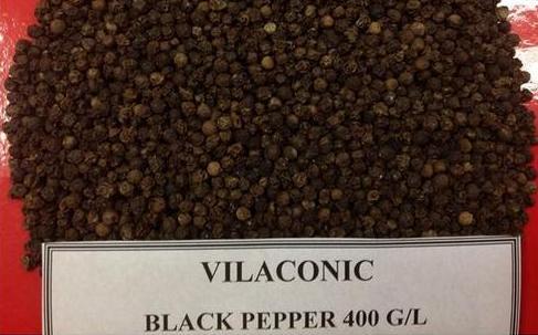 Black Pepper